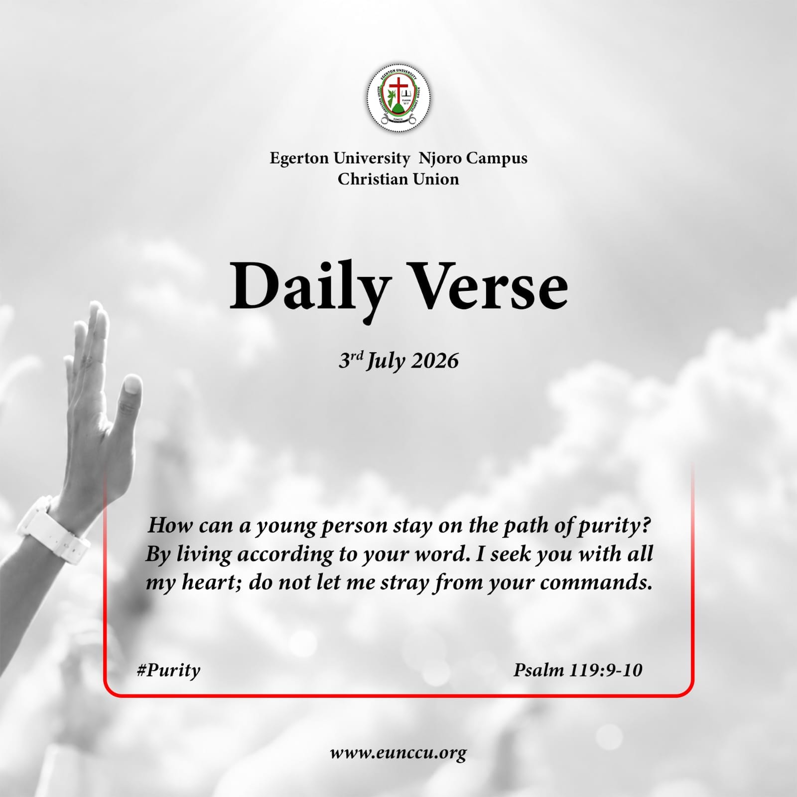 His Word Anchors